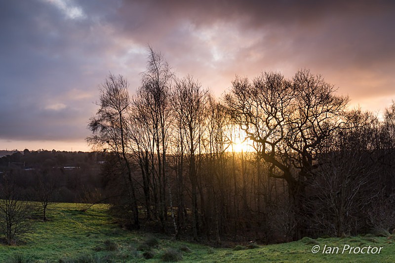 Sunrise at Barnett Demesne, Belfast. - County Antrim