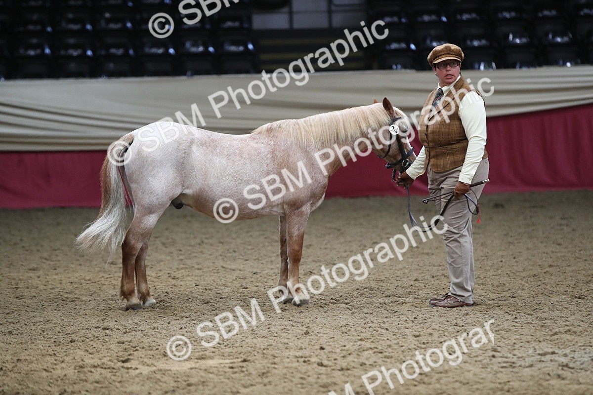 SBM_05373 - Class 8R - Regional IH Veteran