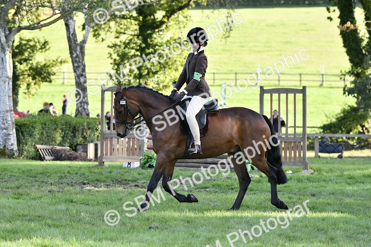 SBM_53510 - S14 - Riding Club Horse