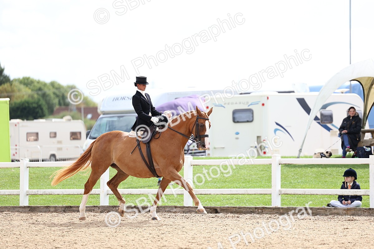 SBM_03346 - Class 23 - SSA Classical (any age)
