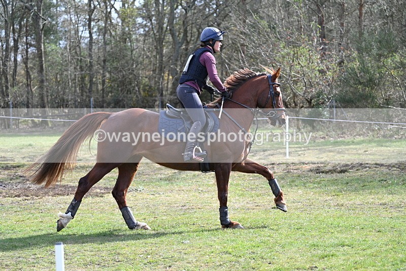 WJ7_0531 - Time 10:56 to 11:17