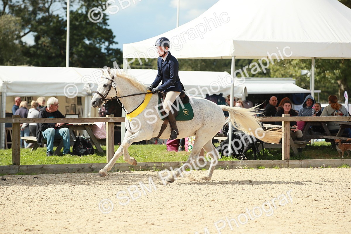 SBM_06330 - J29 Senior 65cm Championship