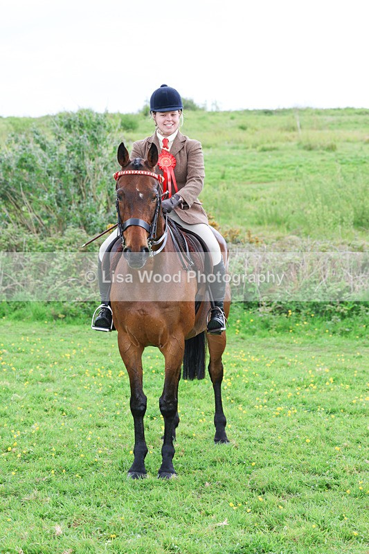 3E7A2034 - Class 10: Ridden Sports Horse