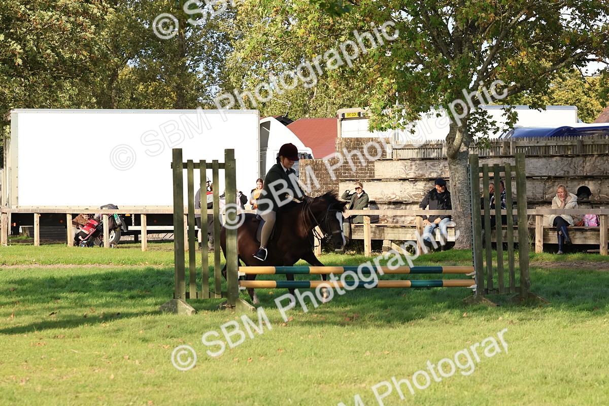 SBM_52537 - S13 - Pony Club Pony