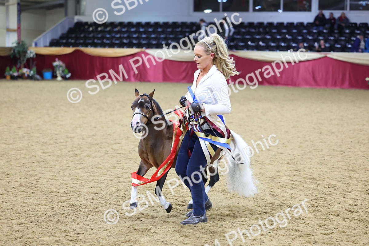 SBM_18756 - Class D IH Pony Champ