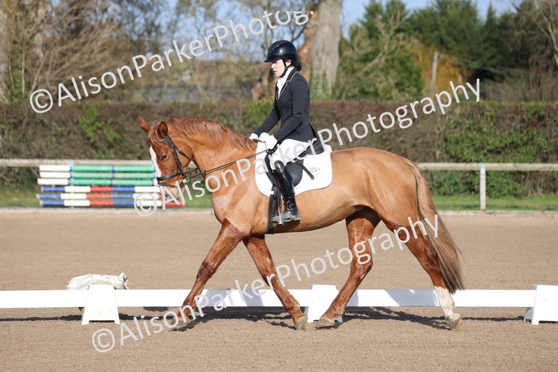 20260128-0313 - Class 3 - Novice 4