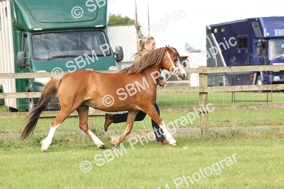 SBM_00605