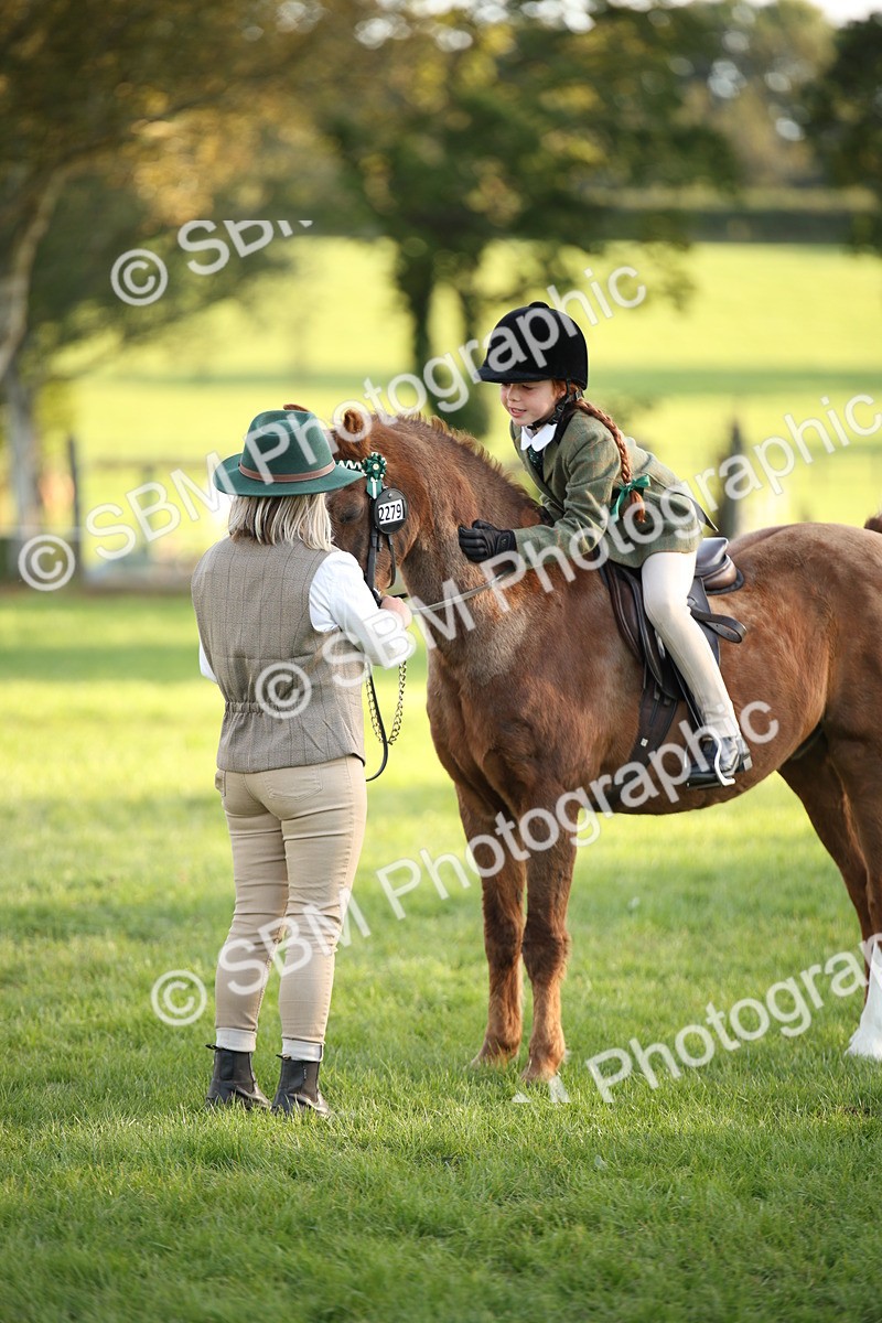 SBM_54456 - S27 - Mature Veteran - Ridden