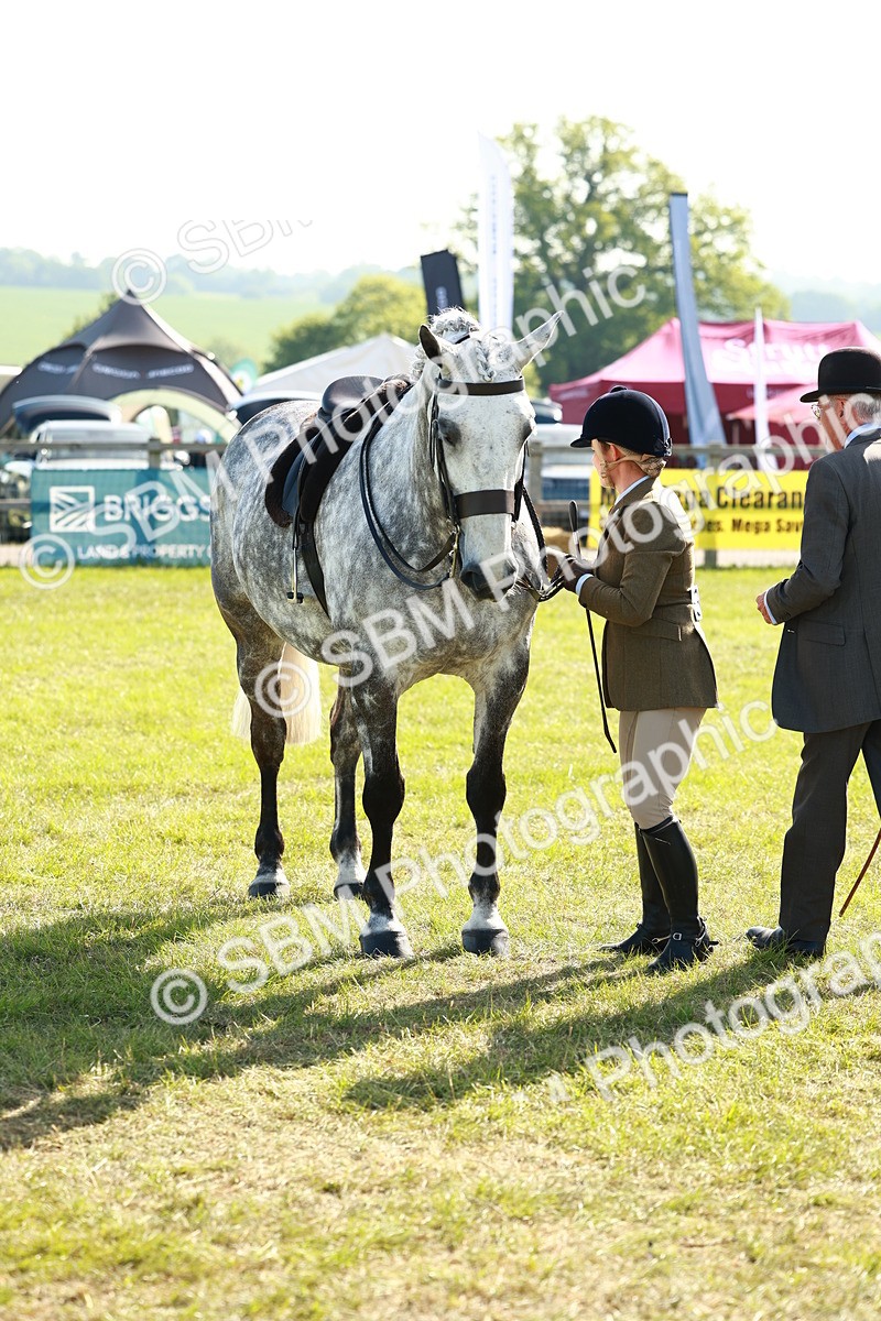SBM_11795 - Class 66-69 - RIHS Ridden Hunters Inc Small Hunter