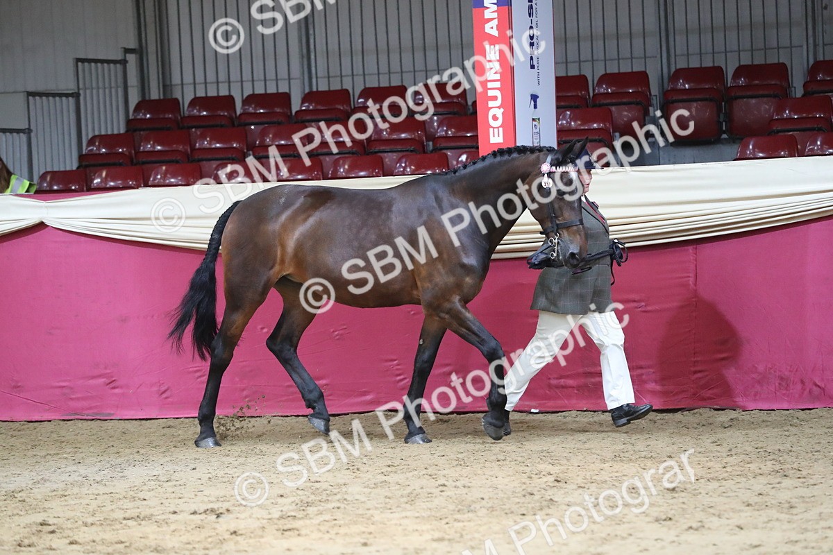 SBM_06268 - Class 9R Regional- IH Pre Vet