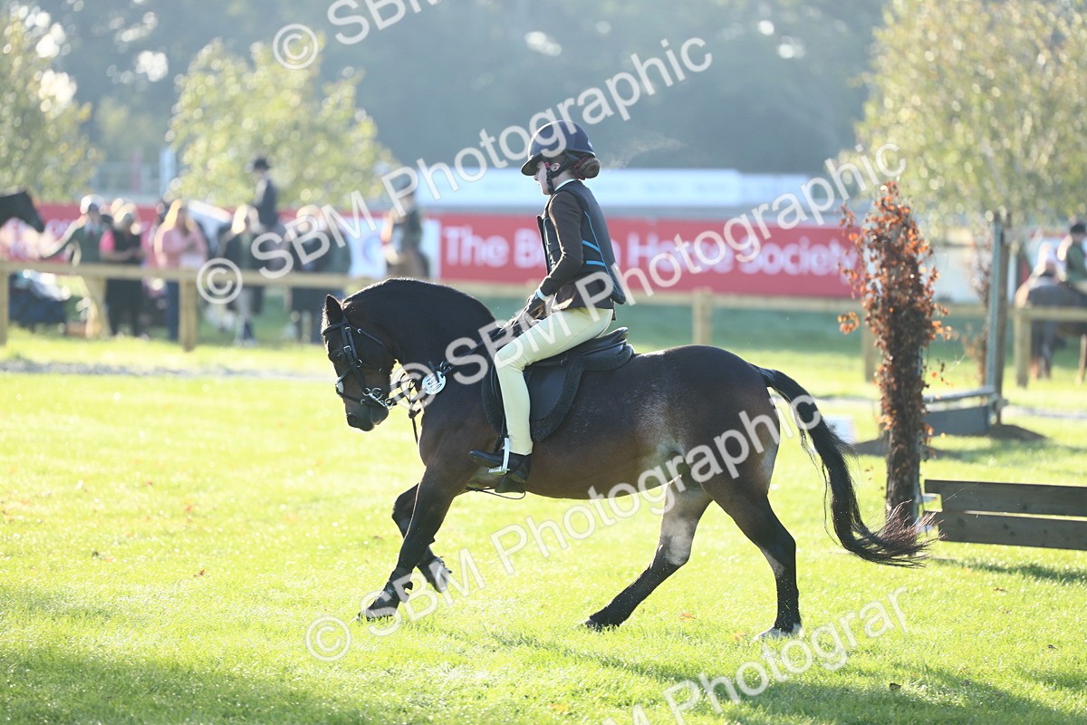 SBM_37307 - S29 - Novice & Newcomers Working Hunter Pony
