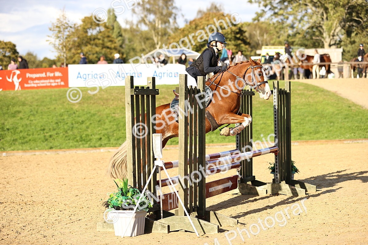 SBM_51916 - J10 - Junior Pony 75cm Championship