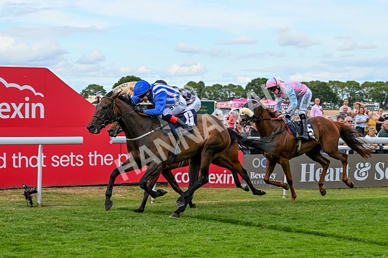 050725-Race 6-Dandys Angel-9284 - Race 6