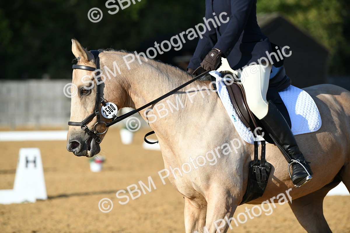 SBM_28494 - D16 - Small Tour Championship - Novice 28