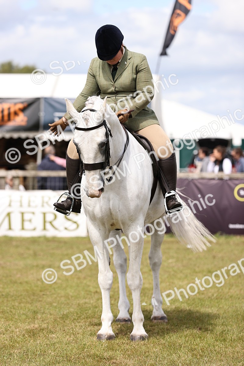 SBM_14710 - Class 88-89 - LIHS BSHA Rising Star of Ridden Hunter Type