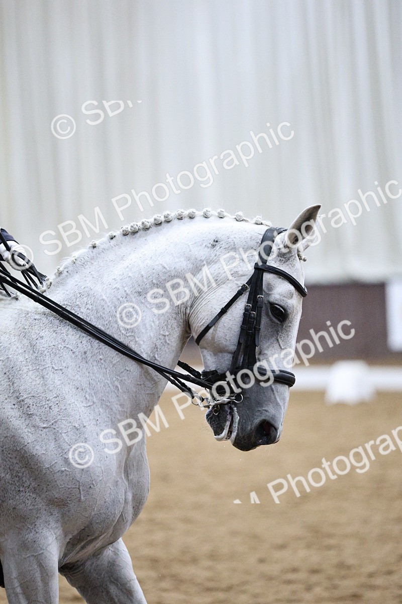 SBM_002928 - Class 17 - FEI PSG