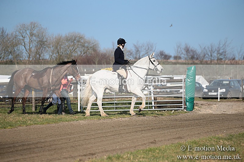 PtP 230219 379 - Vine & Craven Point-To-Point - Barbury 23/02/19