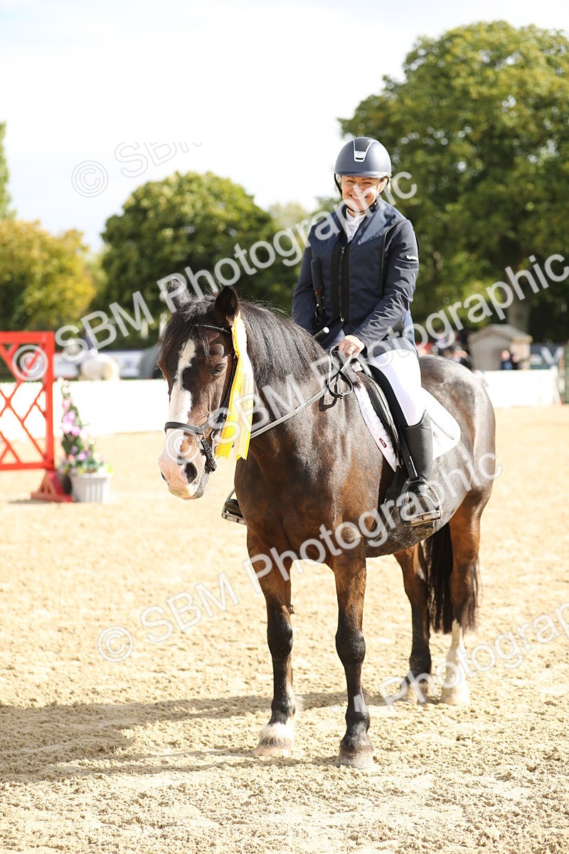 SBM_02053 - J34 - Veteran Rider 50cm