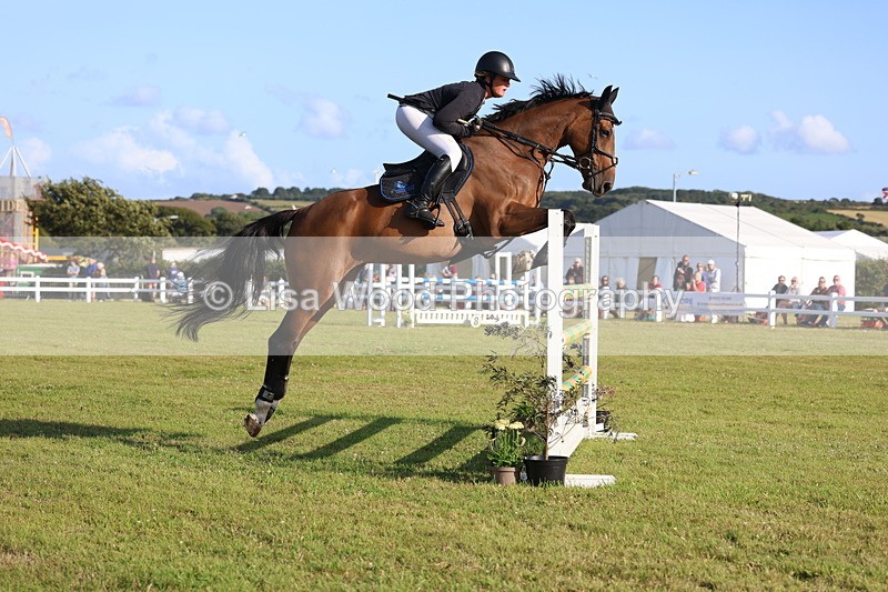 3E7A4519 - Class C: Showjumping Senior Foxhunter