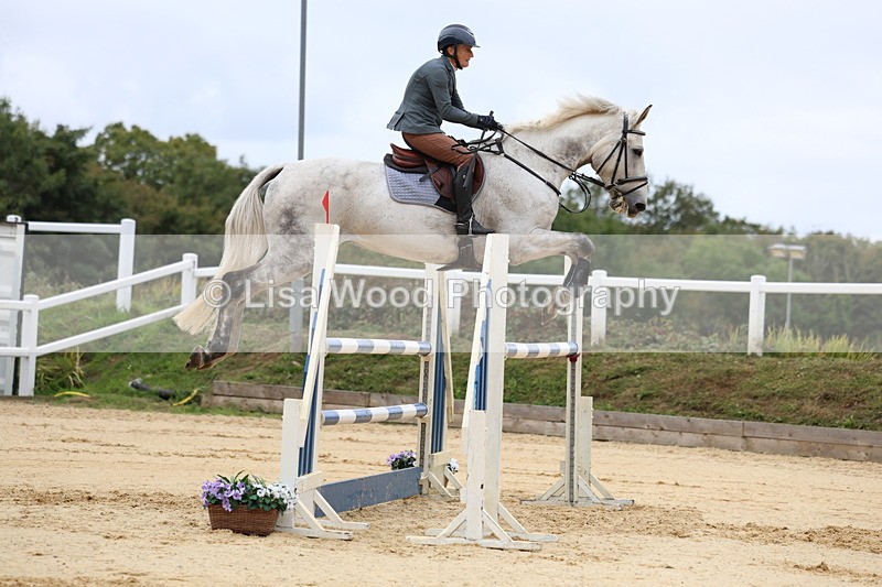 3E7A3225 - Class 9: Senior Foxhunter/1.20 open