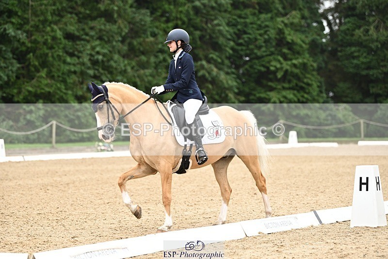 240811-122828-05837 - 301-Sophia.Longworth-Don.Deluxe