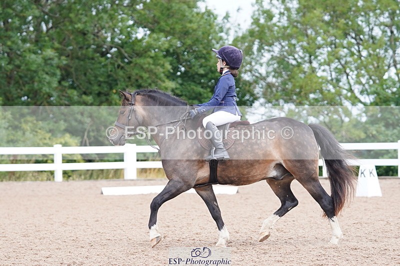 240809A-095750-00375 - Dressage Competition