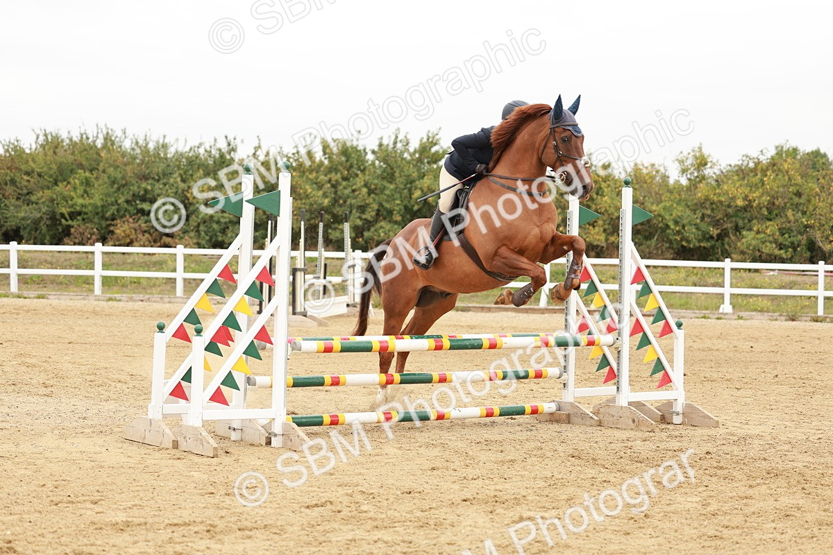 SBM_008447 - Class 5 - 80cm