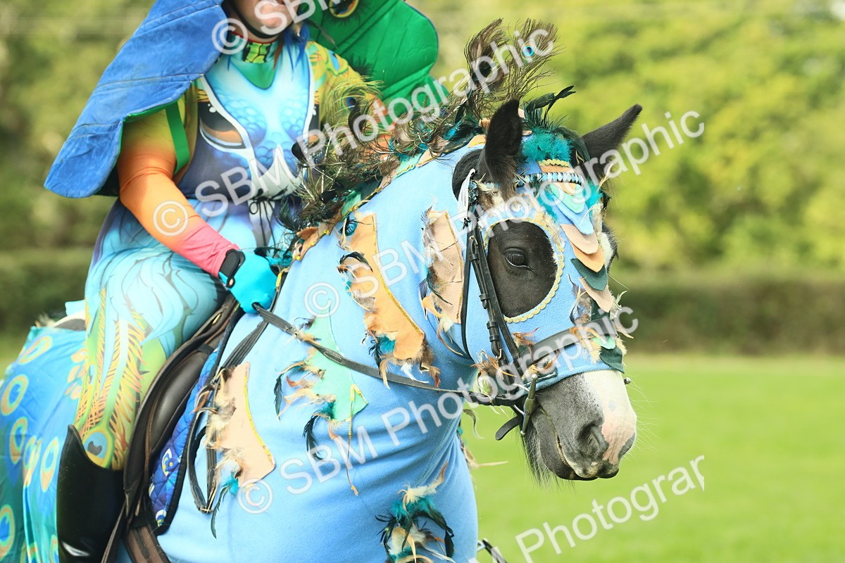 SBM_63619 - S35 - Fancy Dress Showing