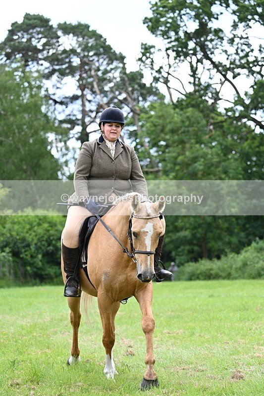 WJ7_2179 - Class 12A Coloured Class