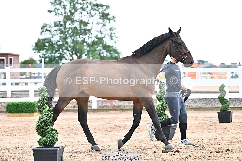 240718A-105328-02051 - Trot Up 2pm to 3pm - This folder is not in time order