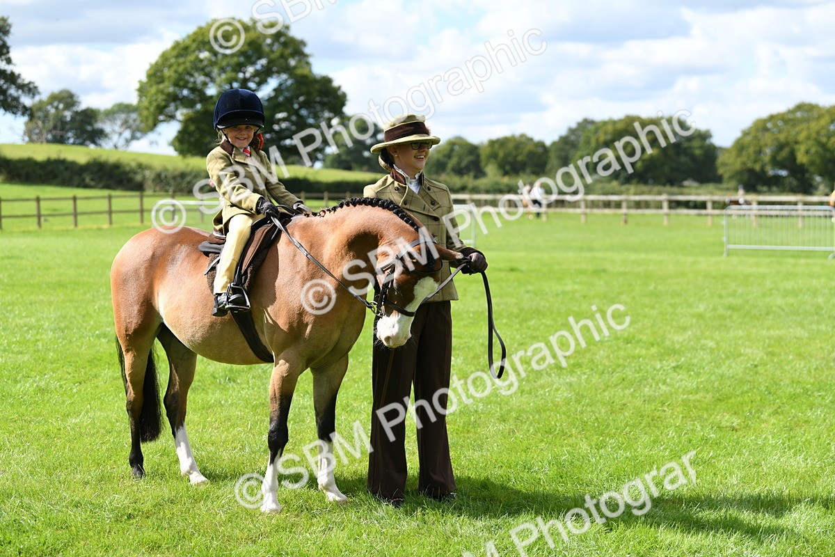 SBM_41206 - S19 - Lead Rein Show & Show Hunter Pony