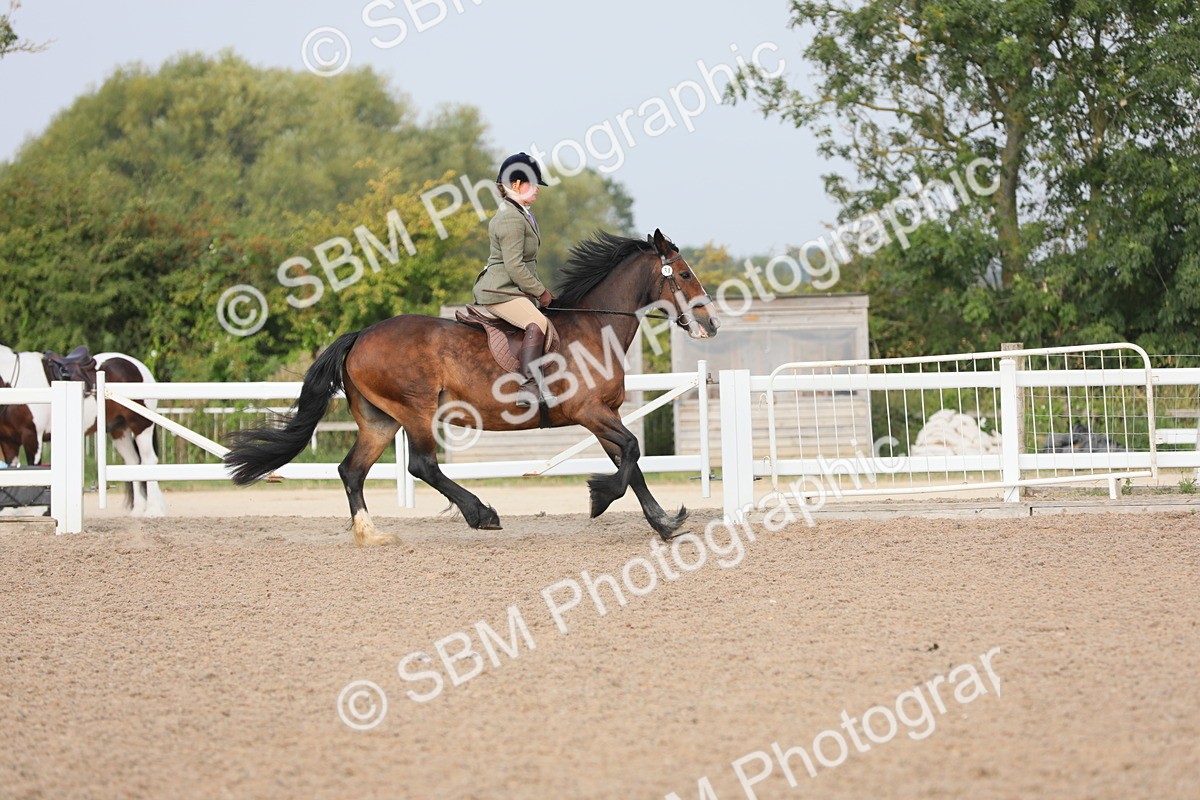 SBM_10879 - Class 304 Ridden Part Bred Horse/Pony