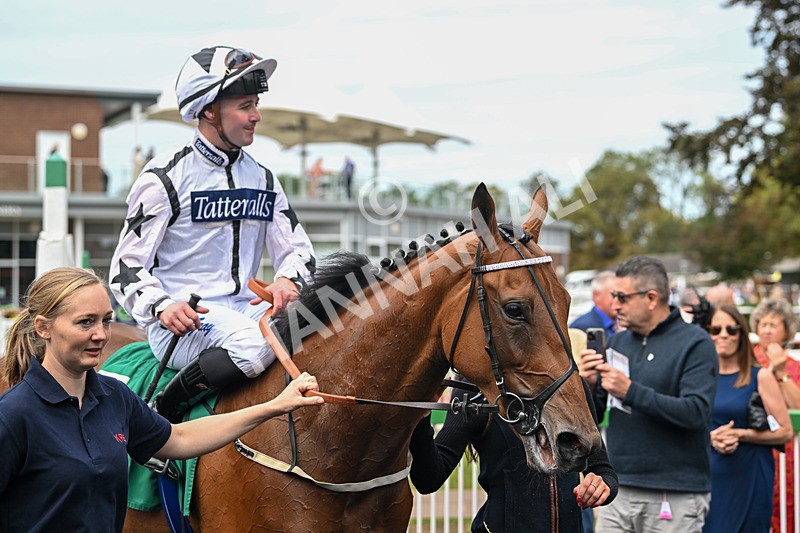 060925-Race 1-Dunkeld Dreamer-4282 - Race 1