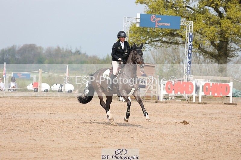 250424-105705-03316 - Cls 33 Young Horse 7yr old