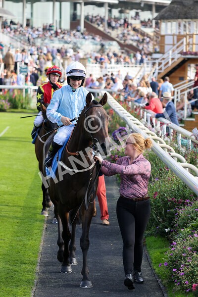 yr05092021r5-13 - Race 5 4.20pm Little Green Rascals Children's Nurseries Stakes