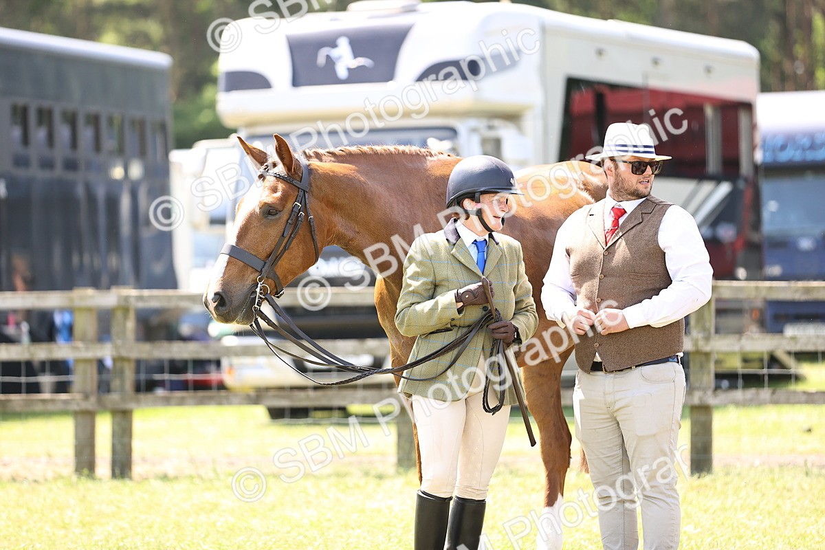 SBM_15165 - Class 79-80 - LIHS BSHA Rising Star Ridden Hunter
