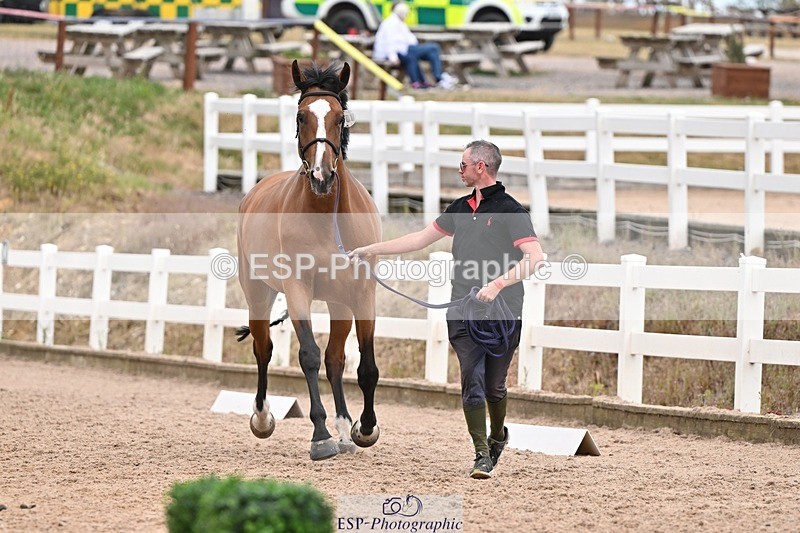 250716-155028-02214 - Trot Up 3.30 to 4.30