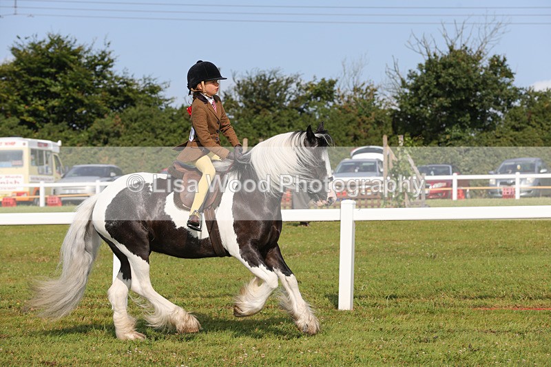 1X9A3226 - Class 28: Ridden Native/Trad Coloured Pony