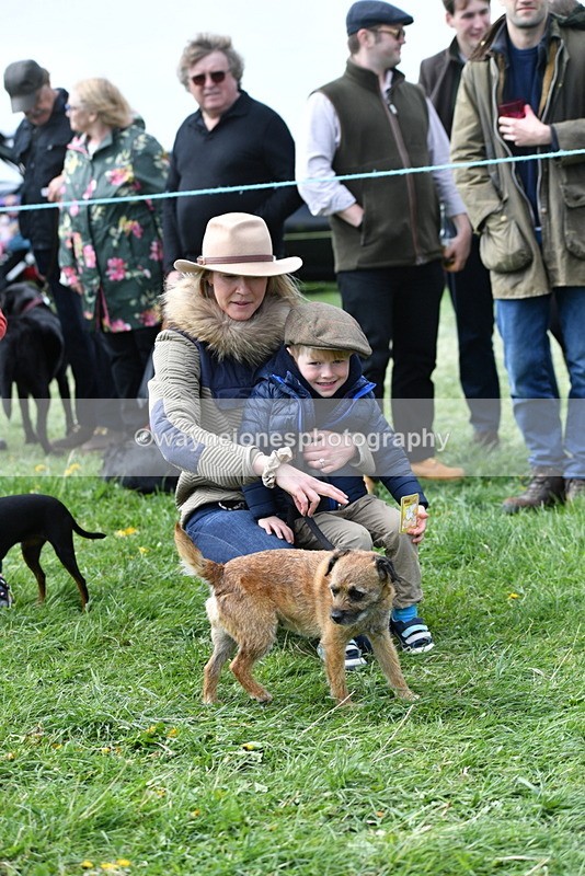 WJ5_0554 - Class 7 Best Terrier