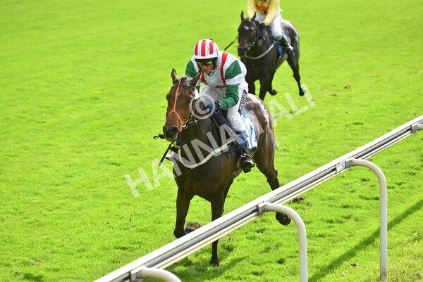 yr24092021r1-145 - Race 1 1.10pm Ernest Cooper Macmillan Ride of Their Lives