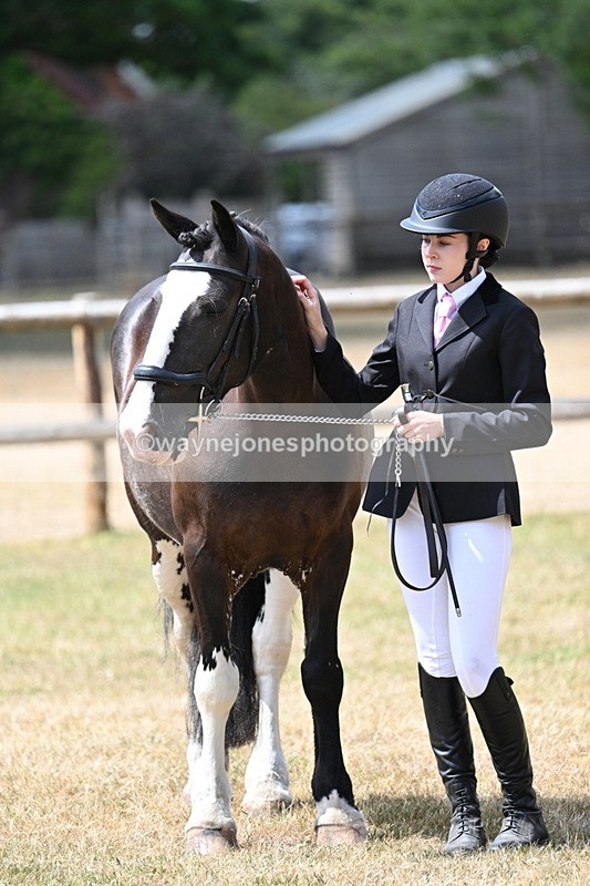 WJ7_1982 - Class 4a Prettiest Mare 14.2hh and over hand