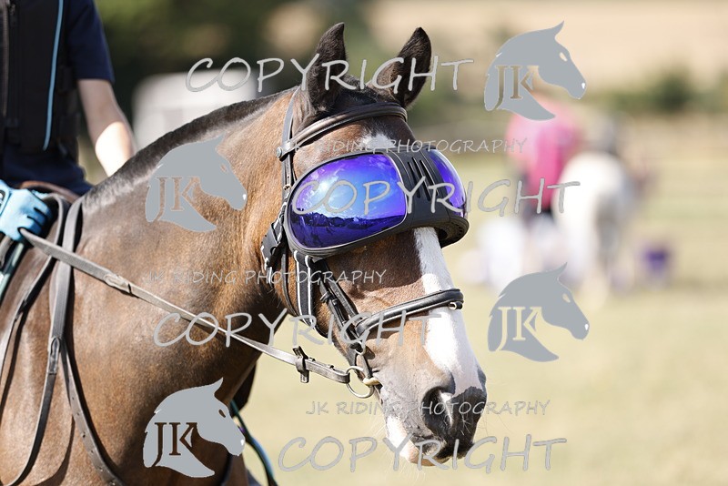 _R6A0850 - GENERAL PHOTOS