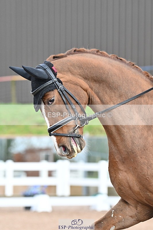 240218A-123156-07001 - 276-Jezz.Palmer-Hawtins.Fiorucci