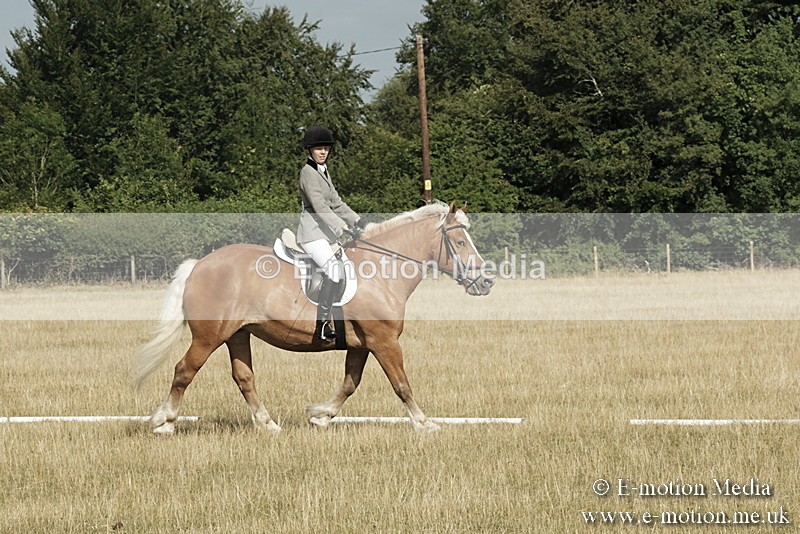 _PJP5569 - Dressage Classes BVRC Show 2018