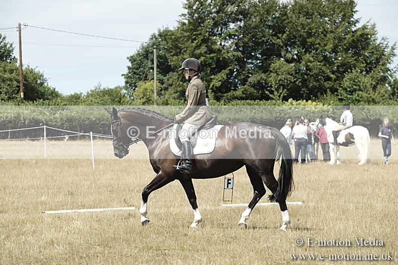 _PJP5857 - Dressage Classes BVRC Show 2018