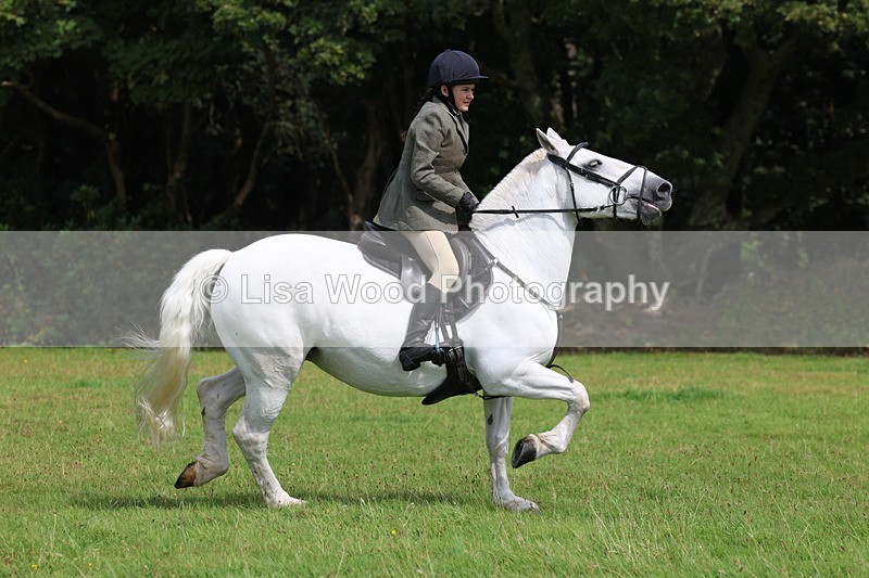 3E7A5992 - Class 28: 75cm Working Hunter