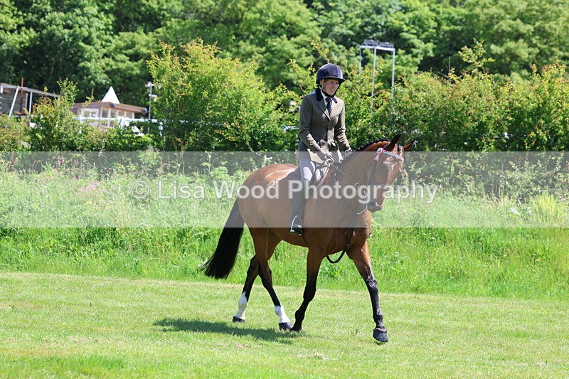 3E7A7522 - Class 31: Working Hunter Cob/Riding Horse