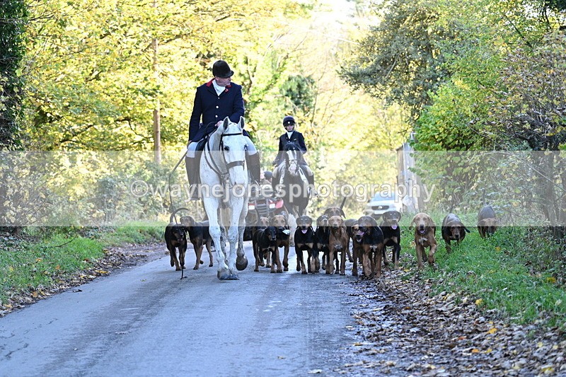 WJ7_8655 - Walk Home