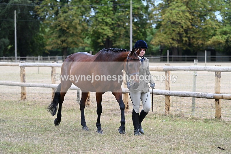 WJ7_8960 - Class 4a Prettiest Mare 14.2hh and over