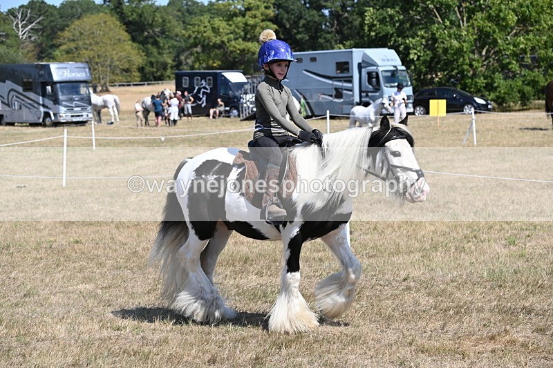 WJ6_9166 - Championship Classes 33-38
